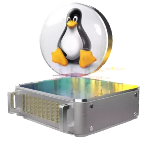 Asif Qayyum Services